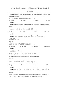 河北省沧州市2024-2025学年高一下4月期中考试数学试卷（解析版）