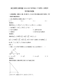浙江省新力量联盟2024-2025学年高一下4月期中联考数学试卷(解析版)