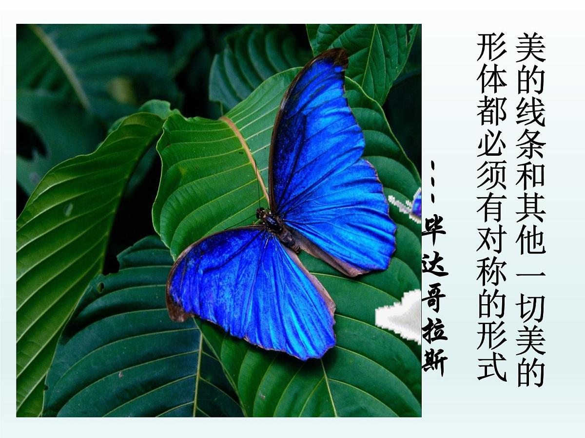 人教课标B版高中数学必修1 2-1-3《函数的奇偶性》课件第3页