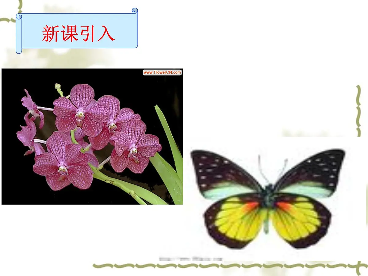 人教课标B版高中数学必修1 2-1-4《函数的奇偶性》教学课件第2页