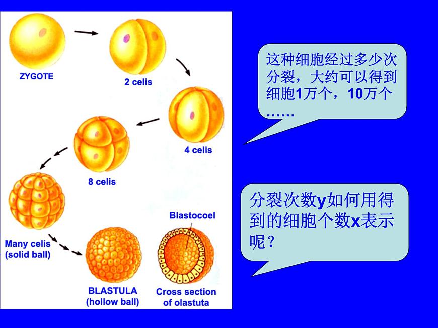 人教课标B版高中数学必修1 3-2-2《对数函数》 教学课件第3页