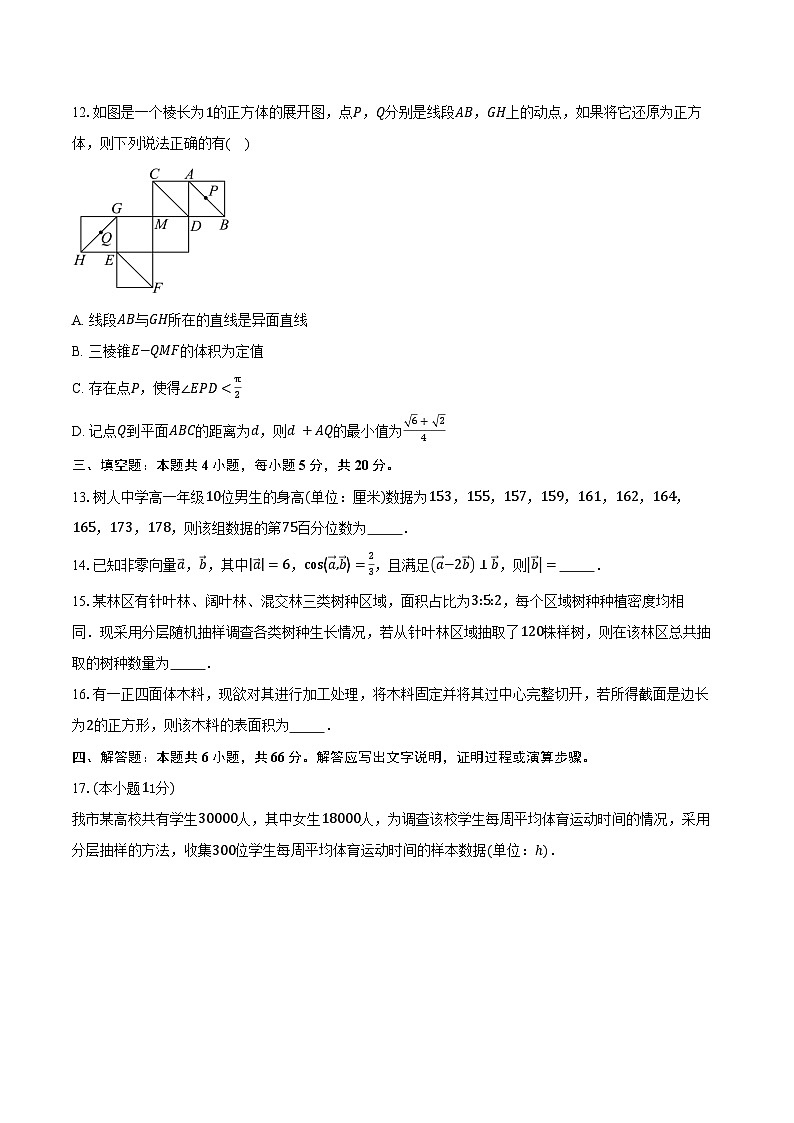 2024-2025学年河北枣强中学高一下学期期末数学试卷（含答案）第3页
