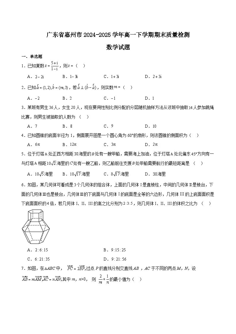 广东省惠州市2024-2025学年高一下学期期末考试数学试题（Word版附解析）第1页