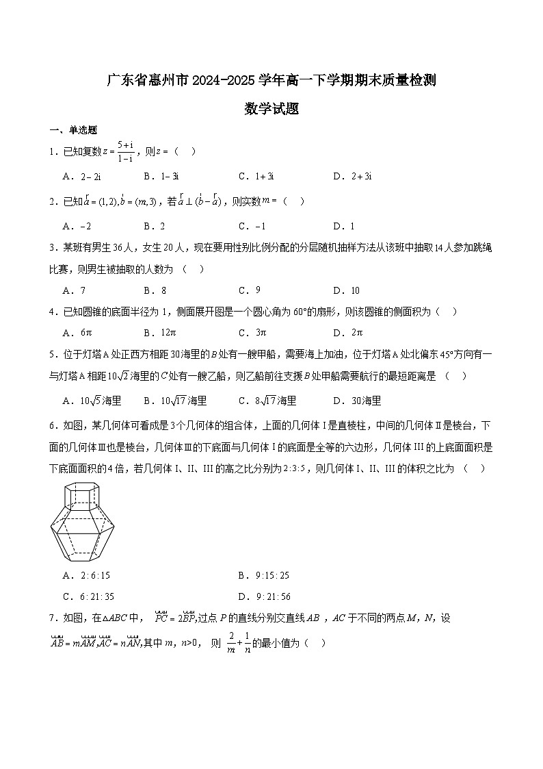 广东省惠州市2024-2025学年高一下学期期末考试数学试题（Word版附解析）第1页