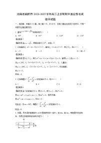 河南省南阳市2024-2025学年高二上学期期中适应性考试数学试卷（解析版）
