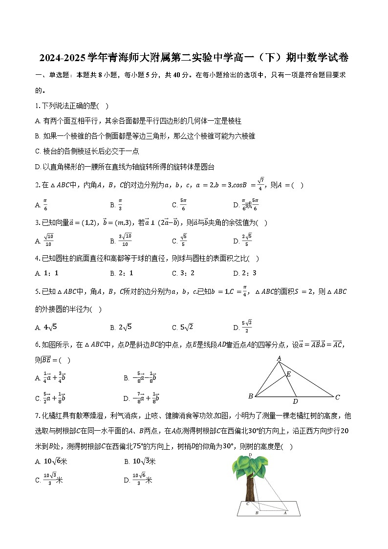 2024-2025学年青海师大附属第二实验中学高一（下）期中数学试卷（含答案）第1页