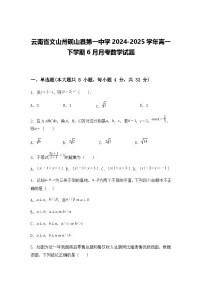 云南省文山州砚山县第一中学2024-2025学年高一下学期6月月考数学试题（含答案解析）