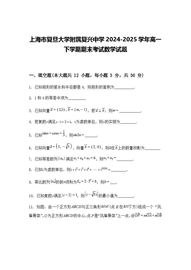 上海市复旦大学附属复兴中学2024-2025学年高一下学期期末考试数学试题（含答案解析）第1页
