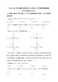 2024_2025学年安徽省合肥市高三上学期12月月考数学试卷