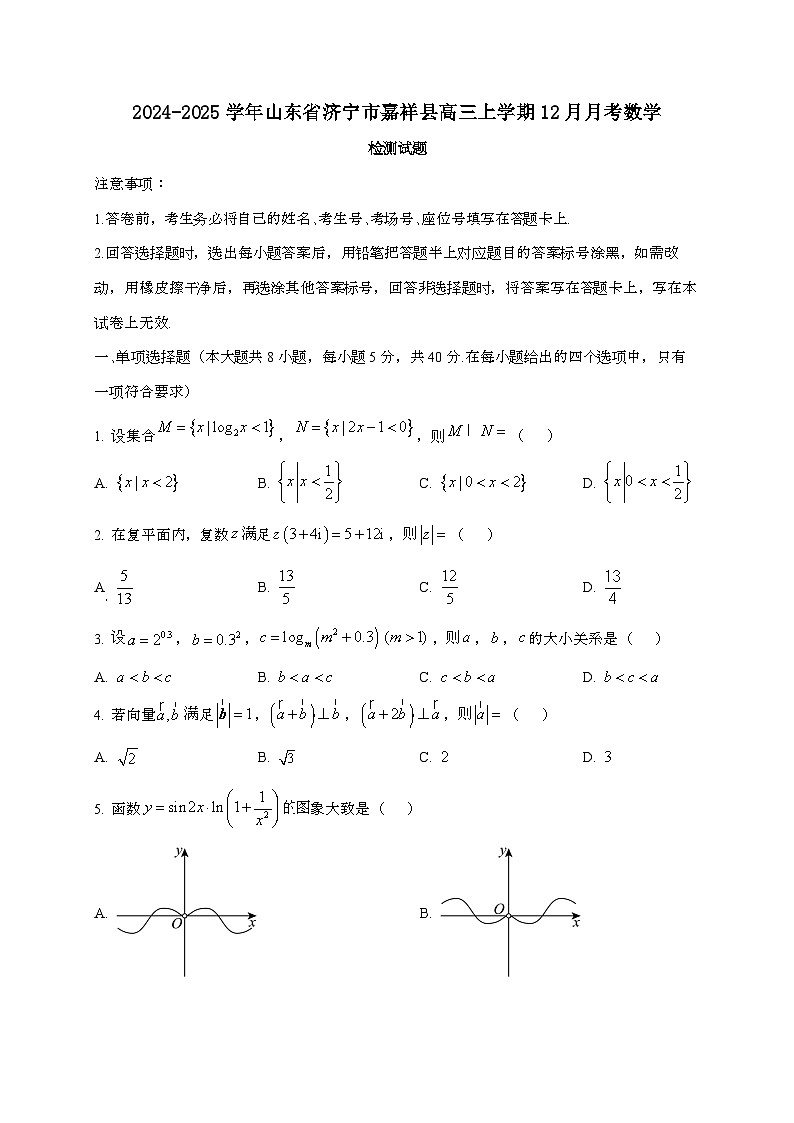 2024_2025学年山东省济宁市嘉祥县高三上学期12月月考数学试卷第1页