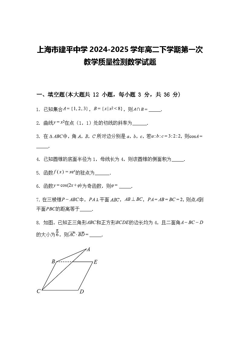 上海市建平中学2024-2025学年高二下学期第一次教学质量检测数学试题（含答案解析）第1页