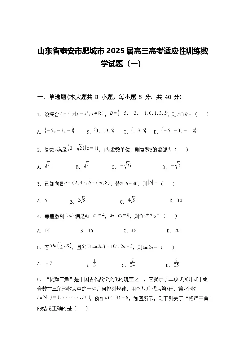 山东省泰安市肥城市2025届高三高考适应性训练数学试题（一）（含答案解析）第1页