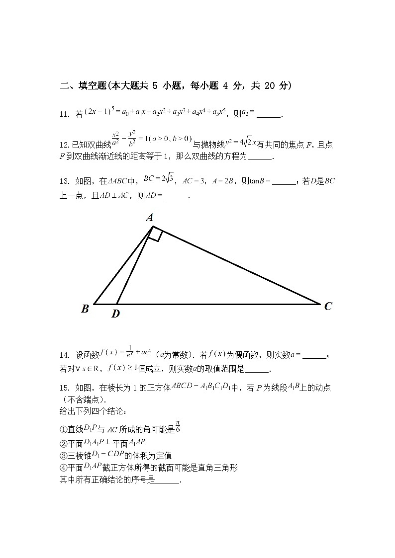 北京市一零一中2025届高三下学期5月高考适应性模拟练习数学试题（含答案解析）第3页