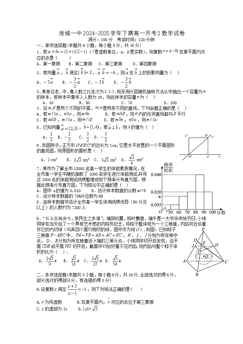 福建省龙岩市连城县第一中学2024-2025学年高一下学期5月月考数学试卷（含答案）第1页