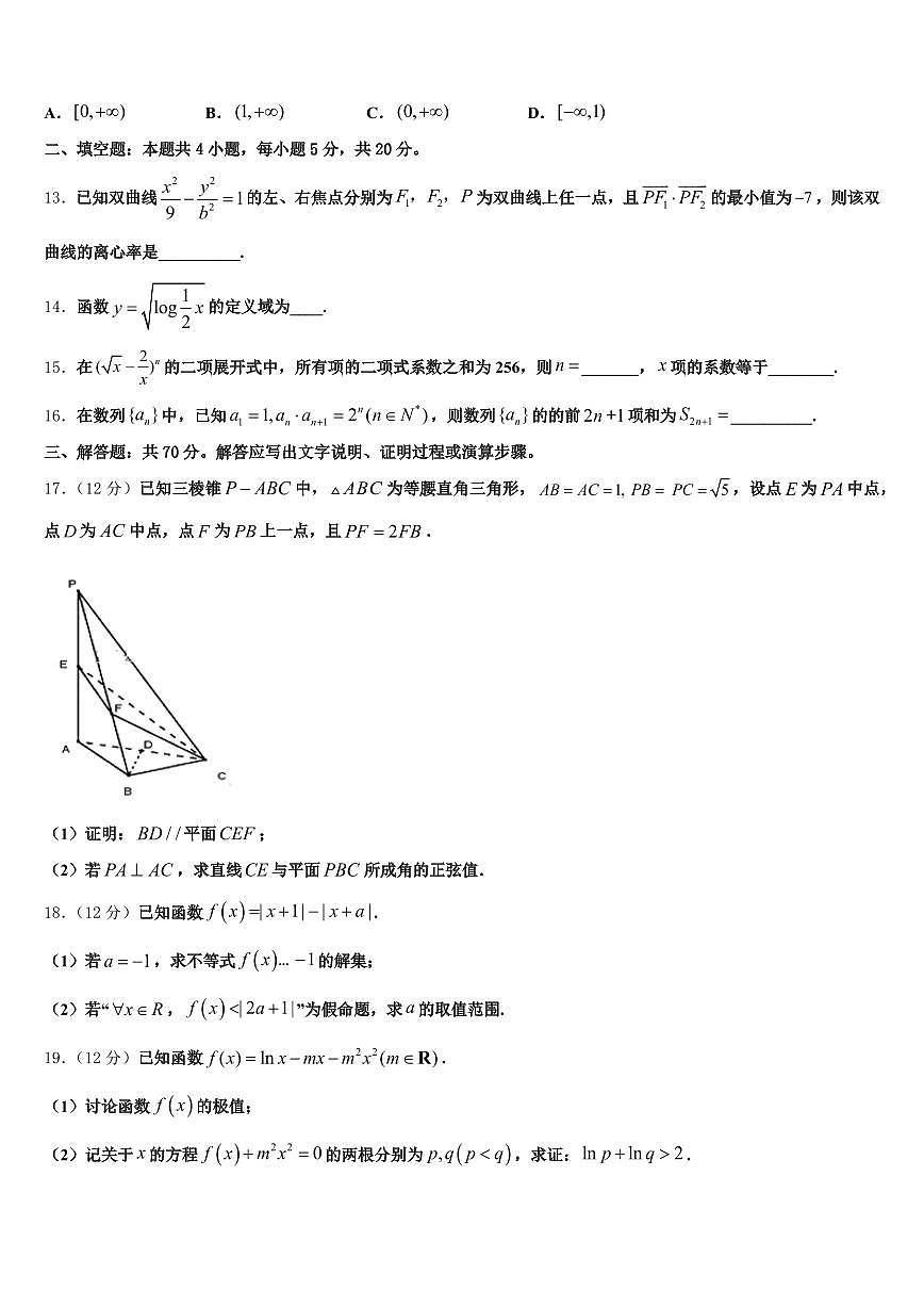 新疆维吾尔昌吉回族自治州2025届高考仿真卷数学试题含解析第3页