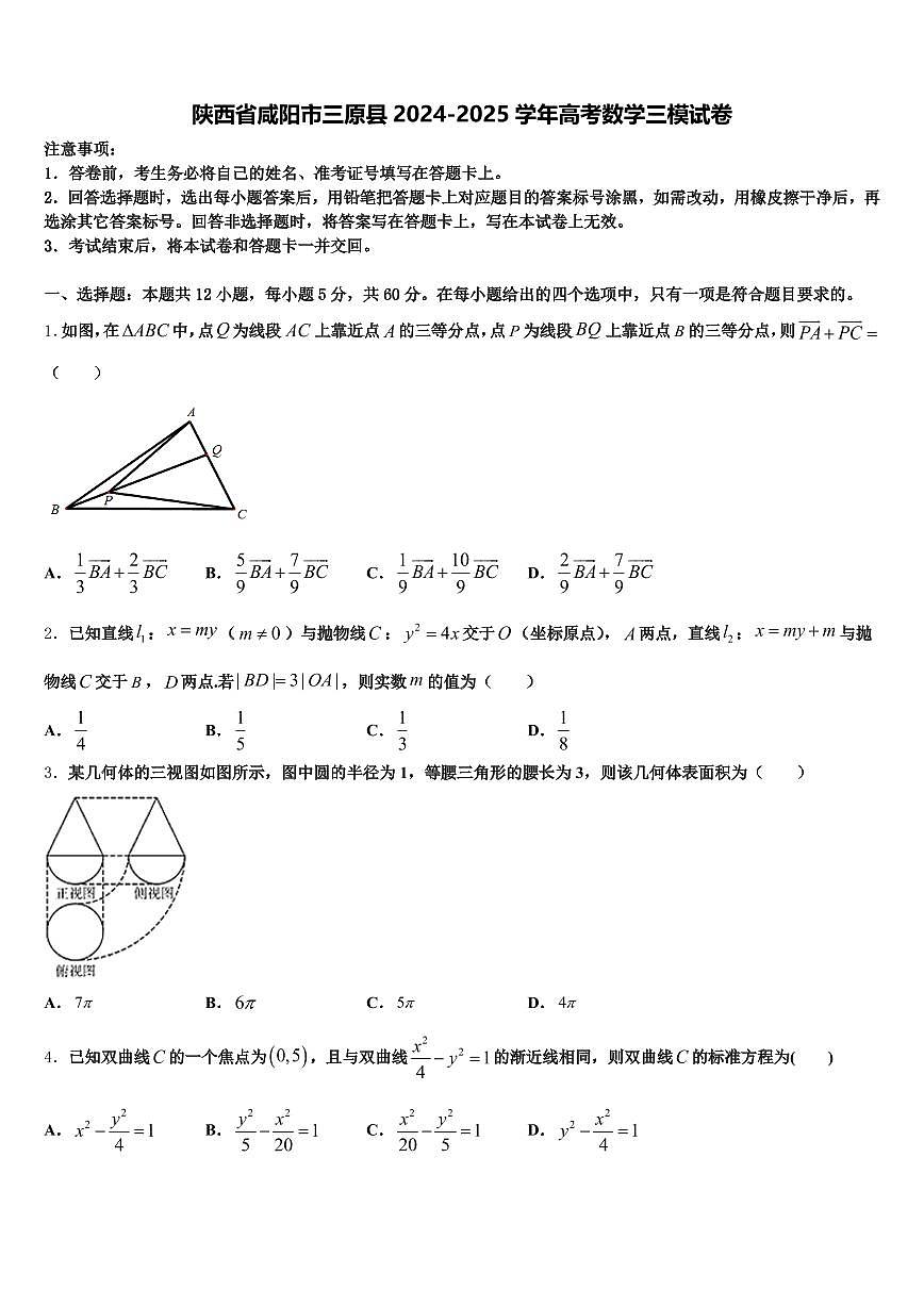 陕西省咸阳市三原县2024-2025学年高考数学三模试卷含解析第1页