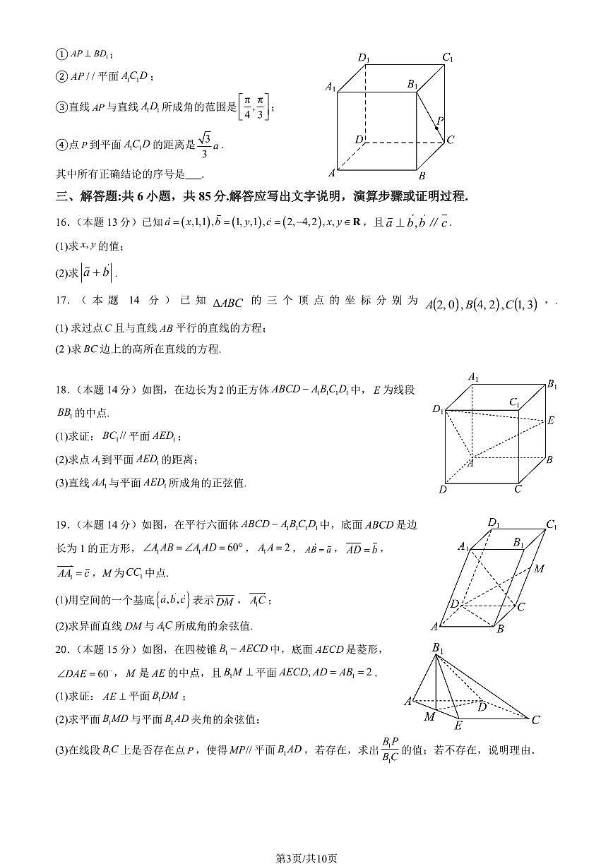 2025北京顺义一中高二上10月月考数学试卷（教师版）第3页