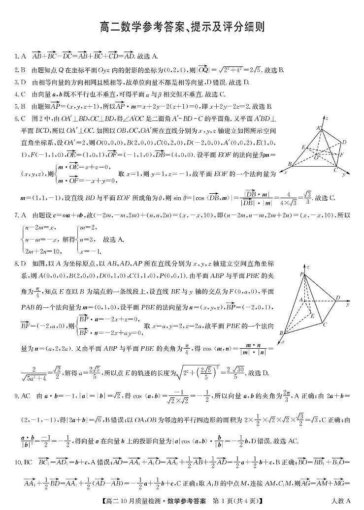 数学含答案答题卡 数学答案-高二10月质量检测（人教A）第1页