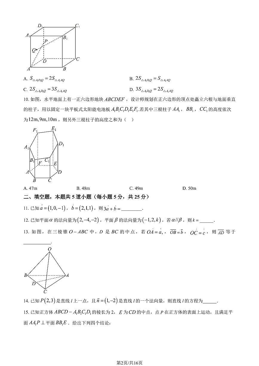 2024北京民大附中高二（上）期中数学试卷   有答案第2页