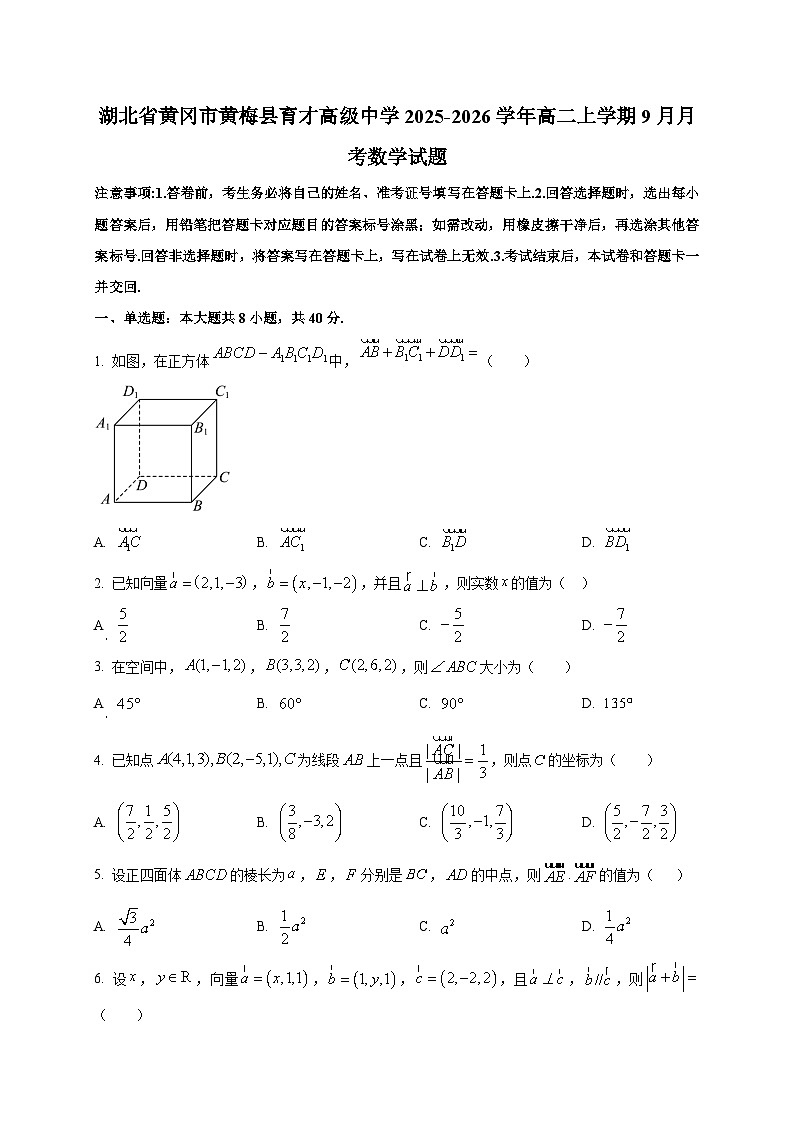 湖北省黄冈市黄梅县育才高级中学2025~2026学年高二上册（9月）月考数学试卷第1页