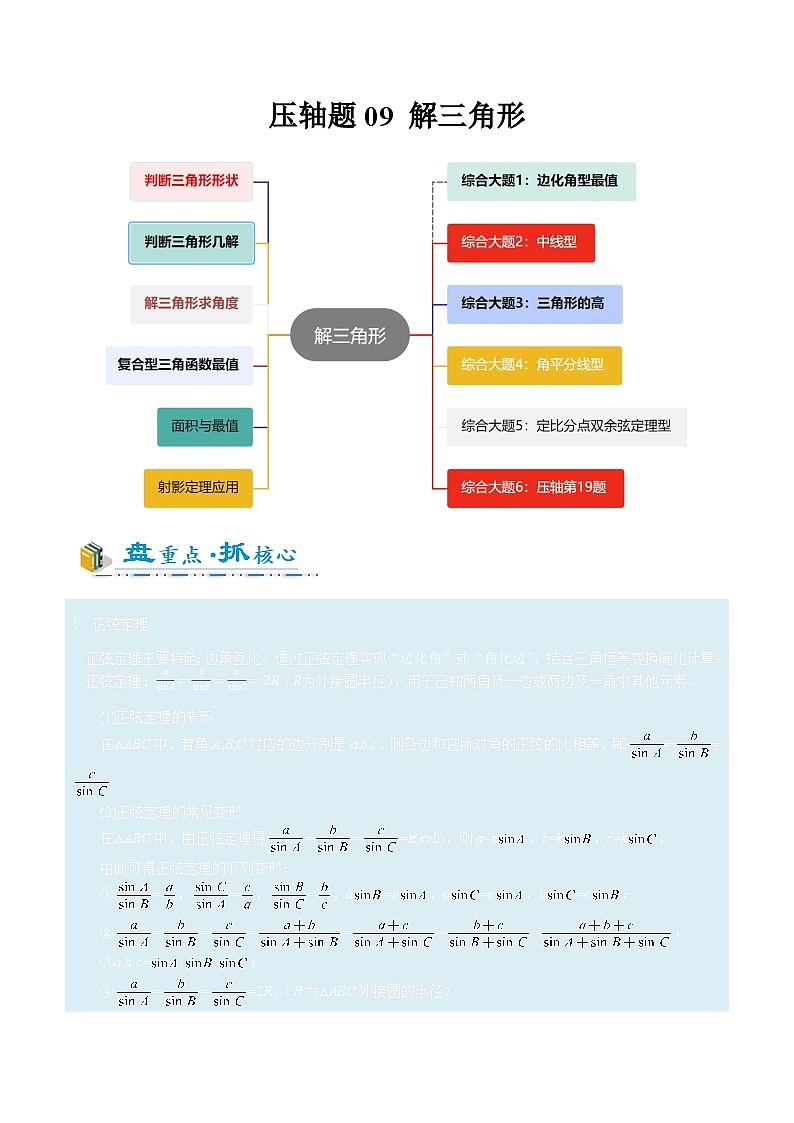 2026年高考数学压轴专项训练压轴题09解三角形（原卷版）第1页