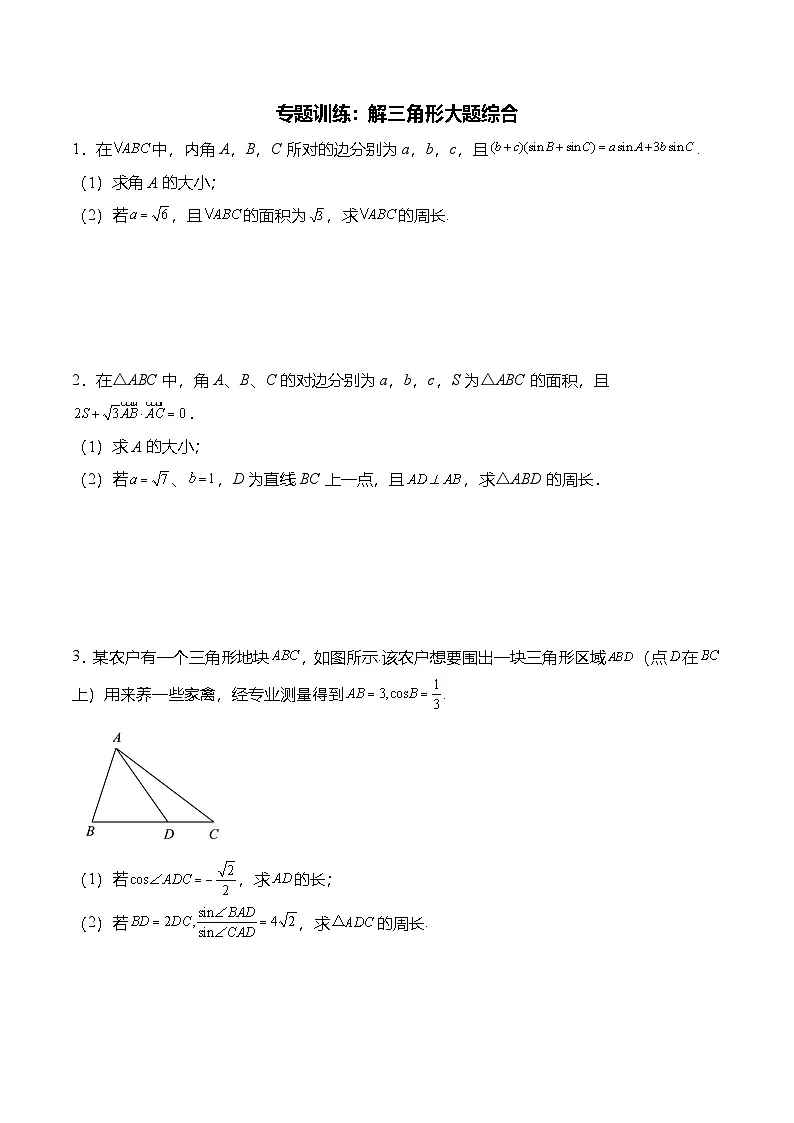 （人教A版）必修二高一数学下学期期末复习训练专题训练：解三角形大题综合（原卷版）第1页