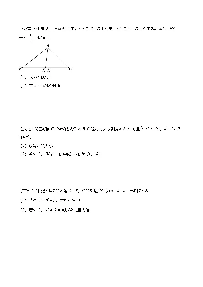 （人教A版）必修二高一数学下学期期末复习训练解三角形专题：三角形的中线、角平分线与高线问题（原卷版）第3页