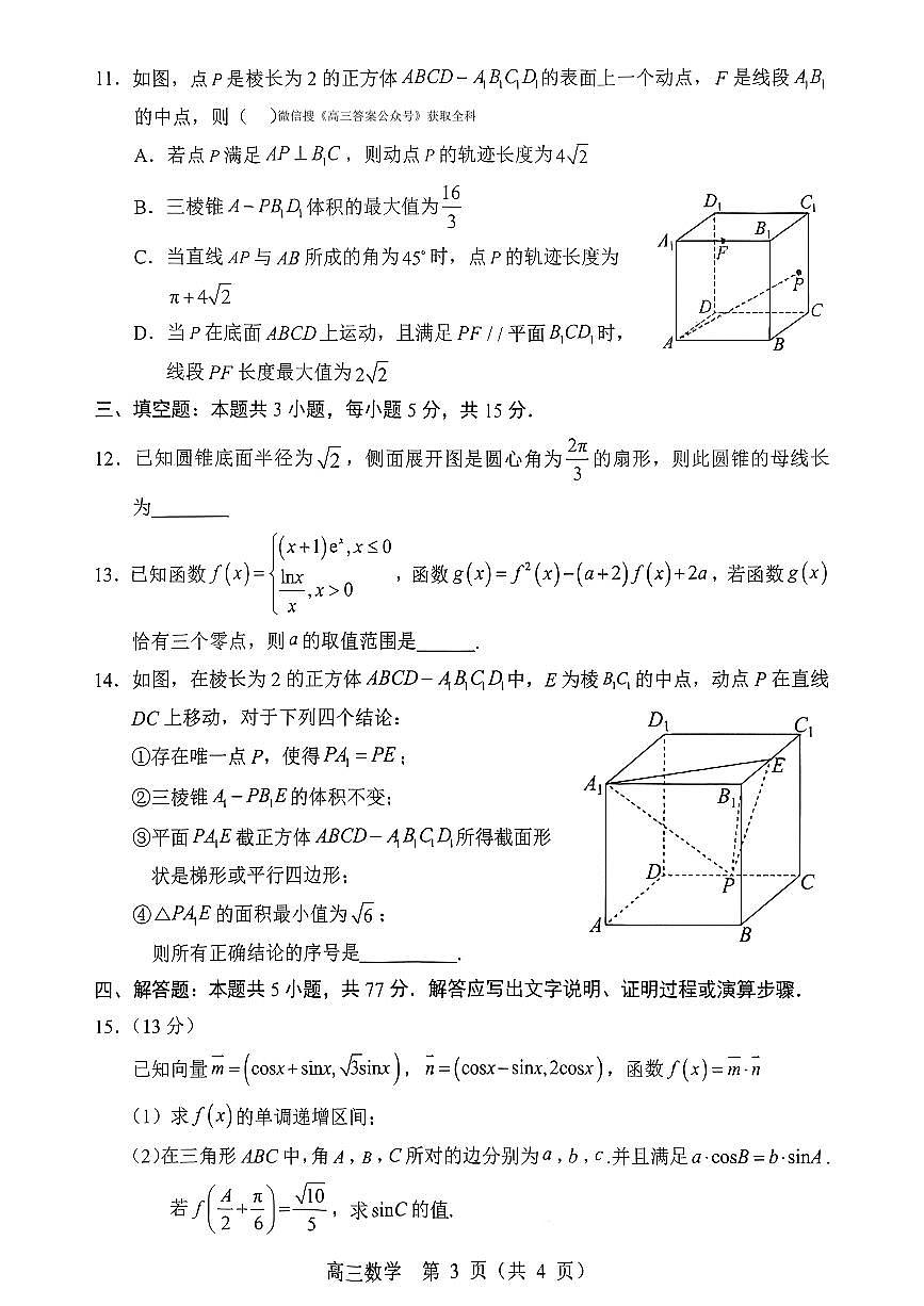2025年沈阳郊联体高三上学期11月期中数学试题及答案第3页