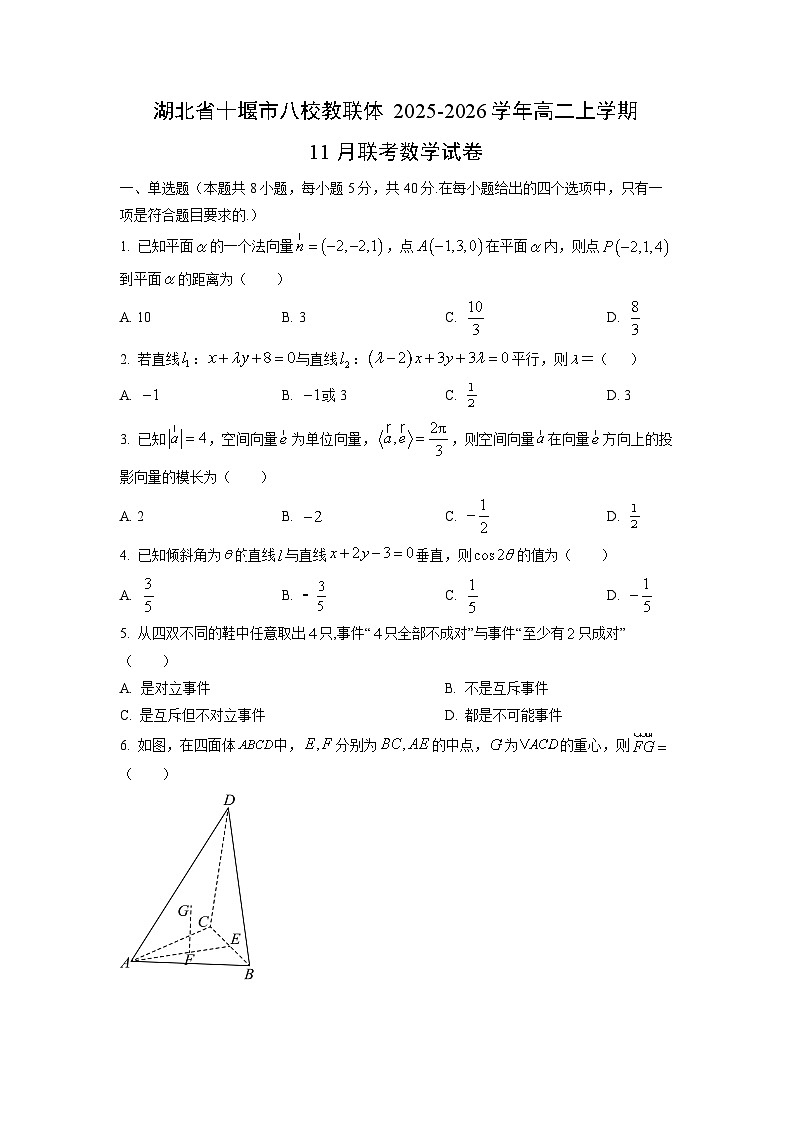 湖北省十堰市八校教联体2025-2026学年高二上学期11月联考数学试卷（学生版）第1页