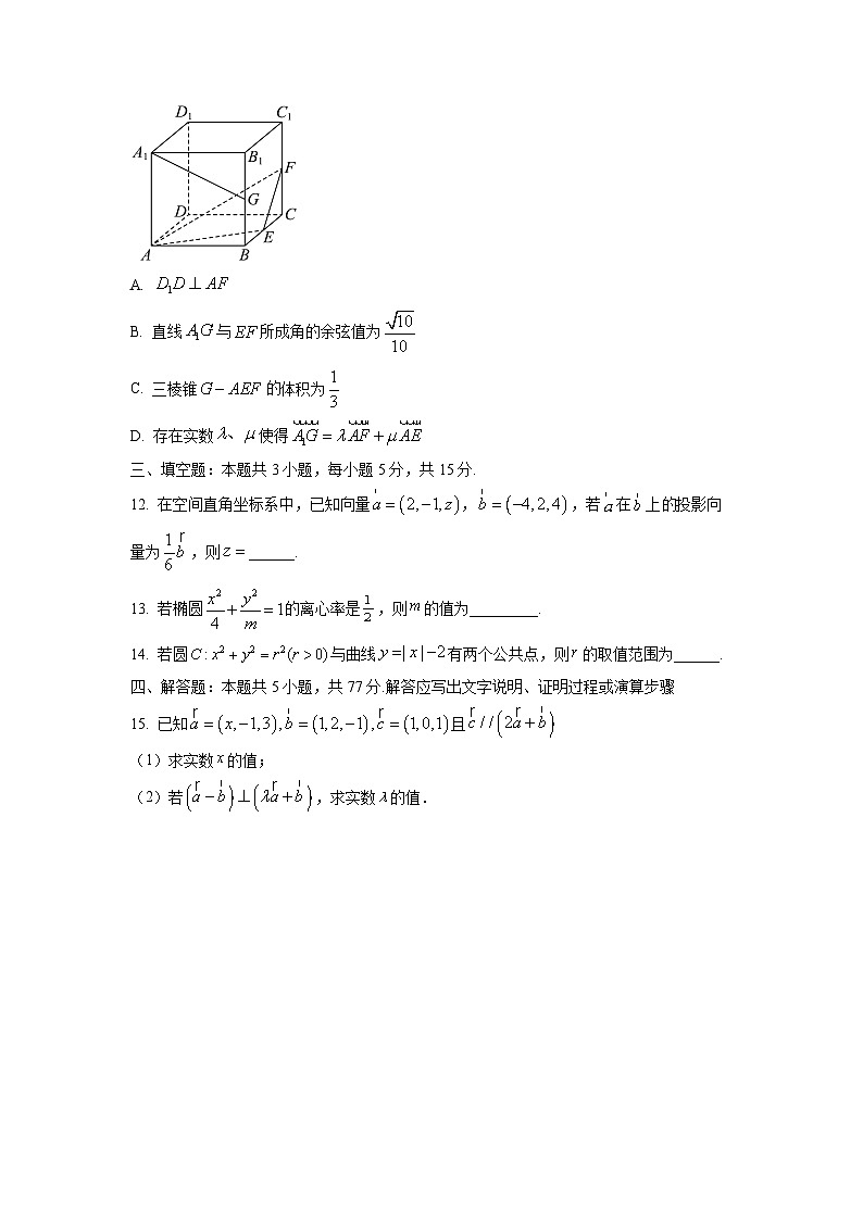 广东省广州市天天向上联盟2025-2026学年高二上学期期中考试数学试卷（学生版）第3页