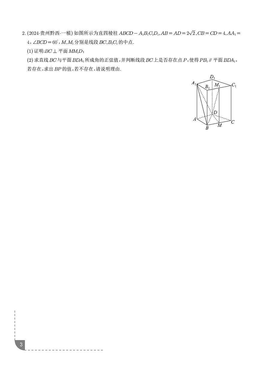 2026年高考数学二轮专项训练 立体几何中的探索性及新定义问题（含解析）第3页