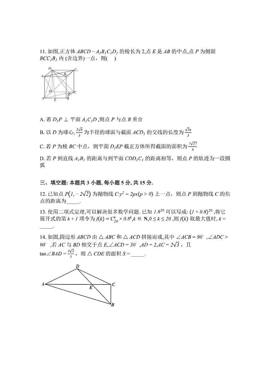 2026届湖南株洲市南方中学高三下学期2月阶段性检测数学试题（含解析）第3页