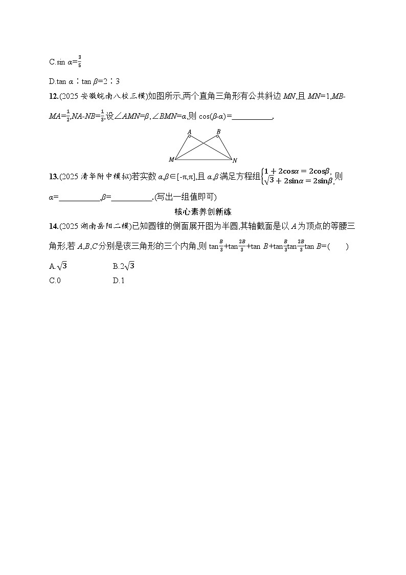 2026高考总复习优化设计二轮数学专题练习_专题突破练1　三角恒等变换（含解析）第3页