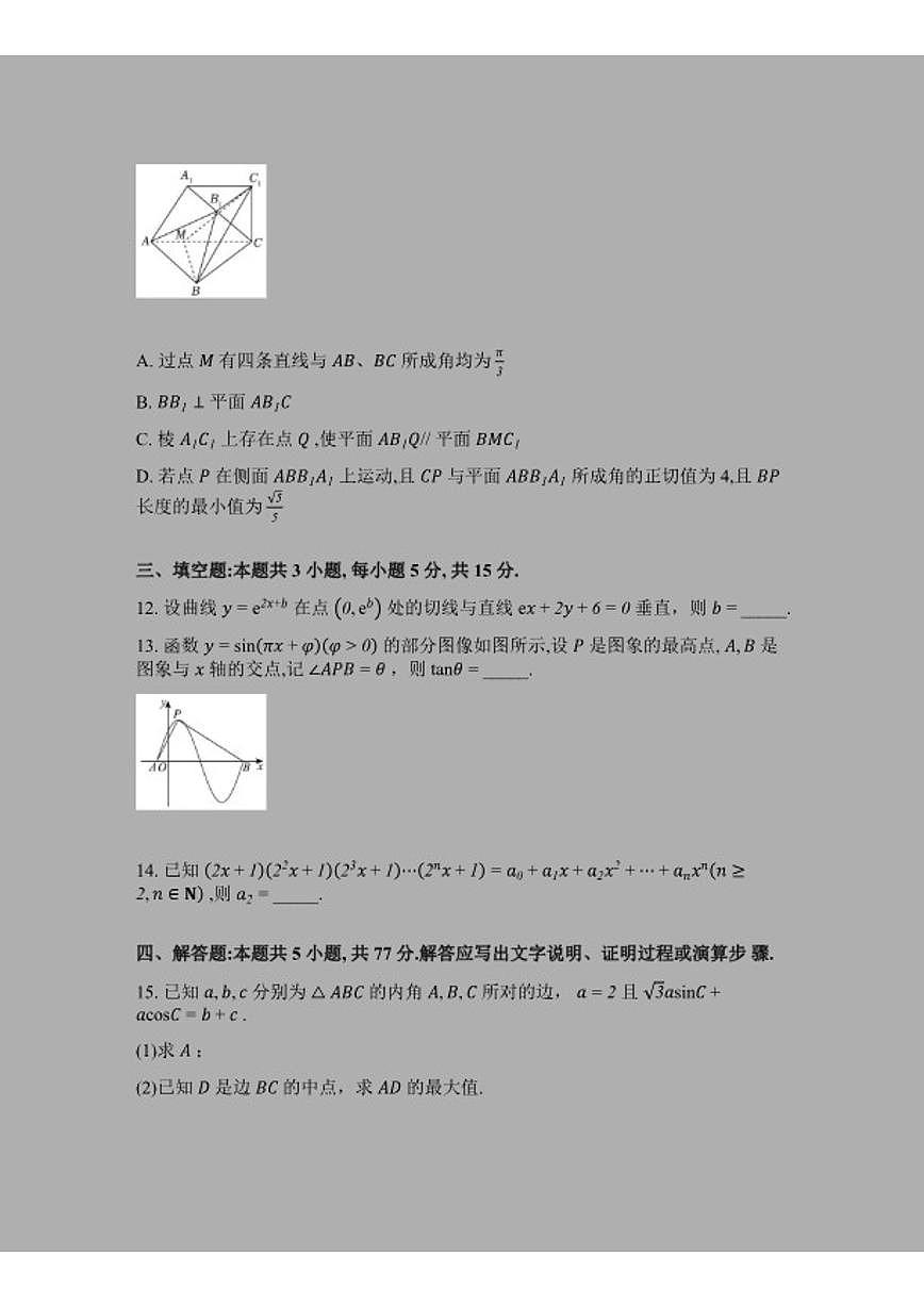2026届福建厦门大学附属科技中学高三下学期数学3月限时训练数学(含解析)试题第3页
