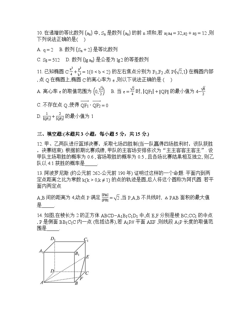 湖北新洲一中2025-2026学年高二下学期收心作业数学试题含答案第3页
