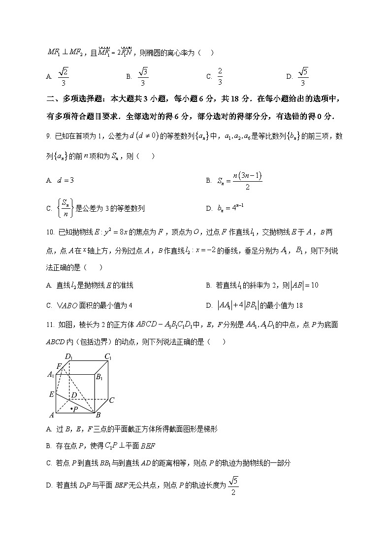2025-2026学年广西南宁二中_柳铁一中_玉林高中高二上册12月联考数学试卷（空白卷）第2页