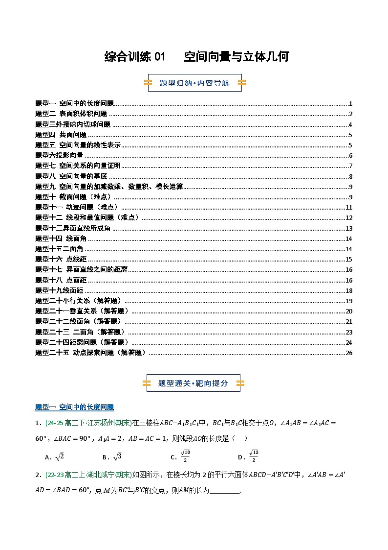 综合训练01 空间向量与立体几何（期末复习专项训练）（原卷版）第1页