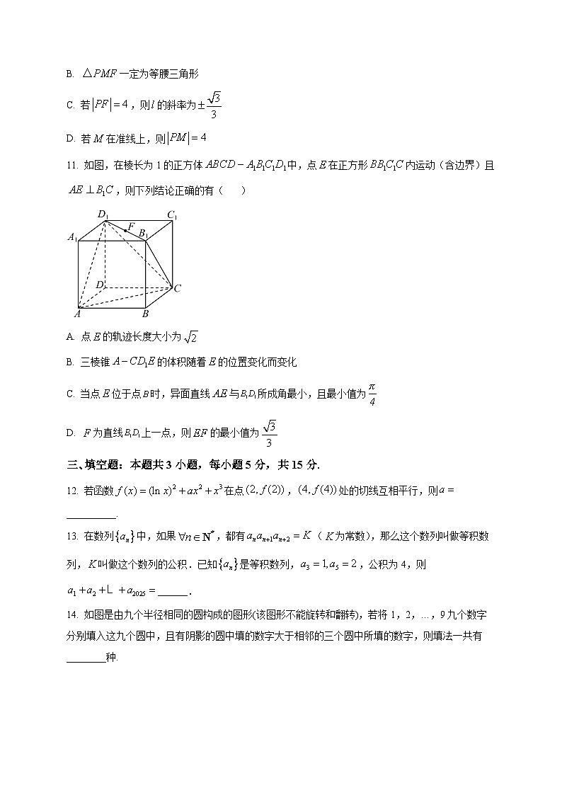 2025-2026学年襄阳四中高三上册1月质量检测数学试卷（空白卷）第3页