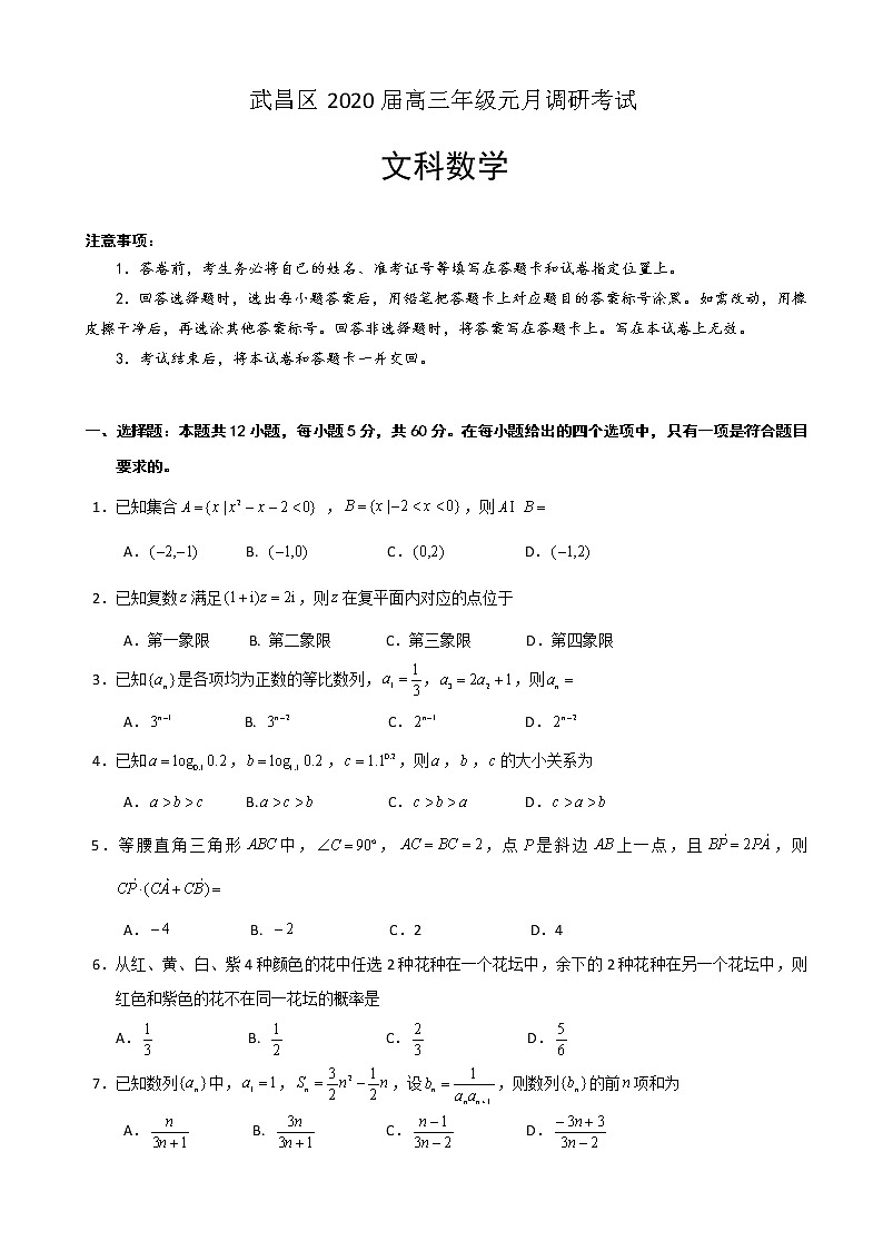 2020届湖北省武汉市武昌区高三元月调研考试数学（文）试题01