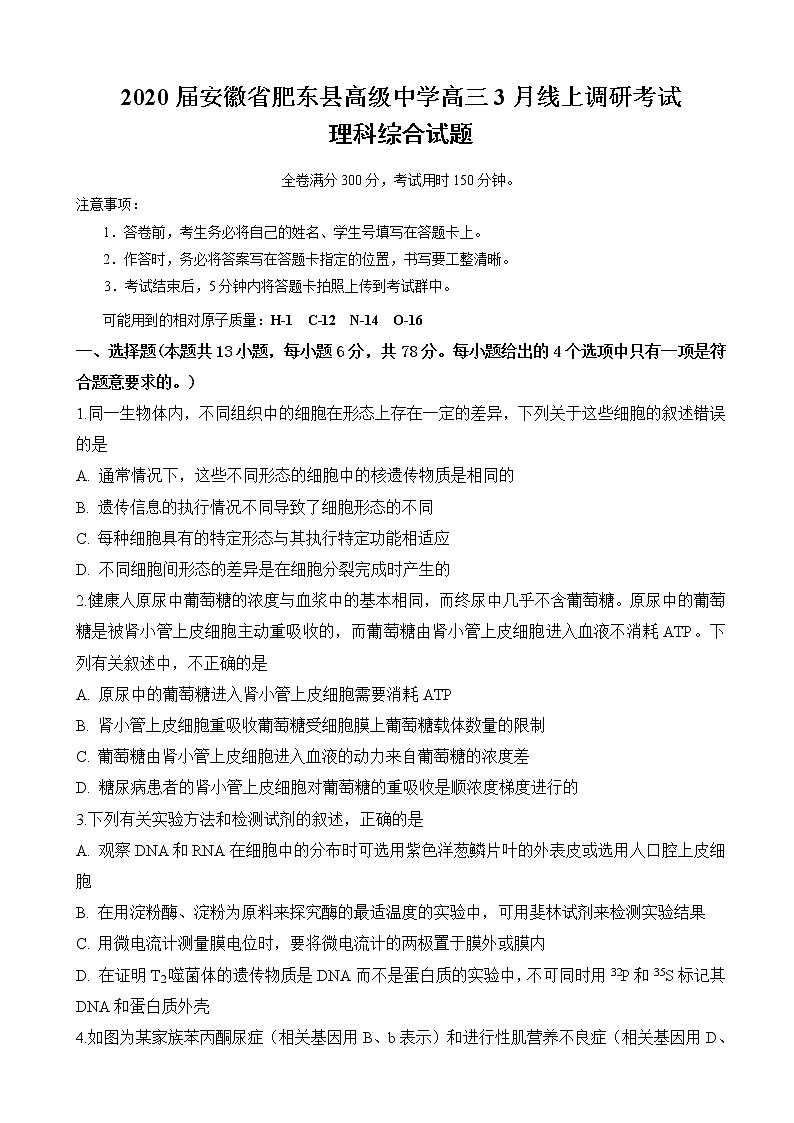 2020届安徽省肥东县高级中学高三3月线上调研考试理科综合试题01