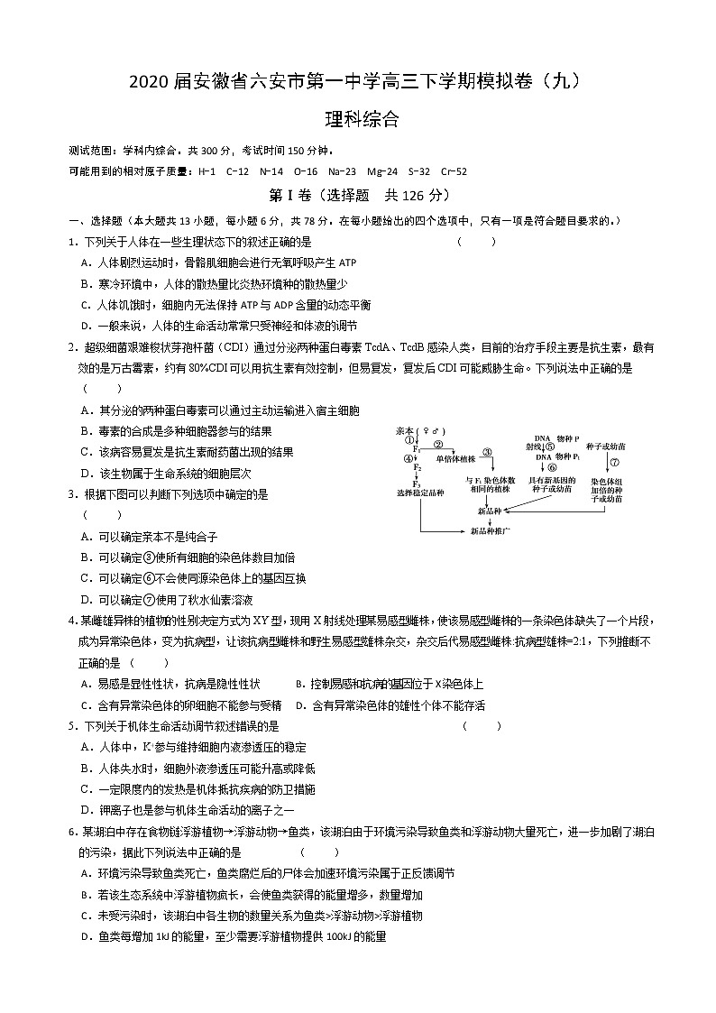 2020届安徽省六安市第一中学高三下学期模拟卷（九）理科综合试题01