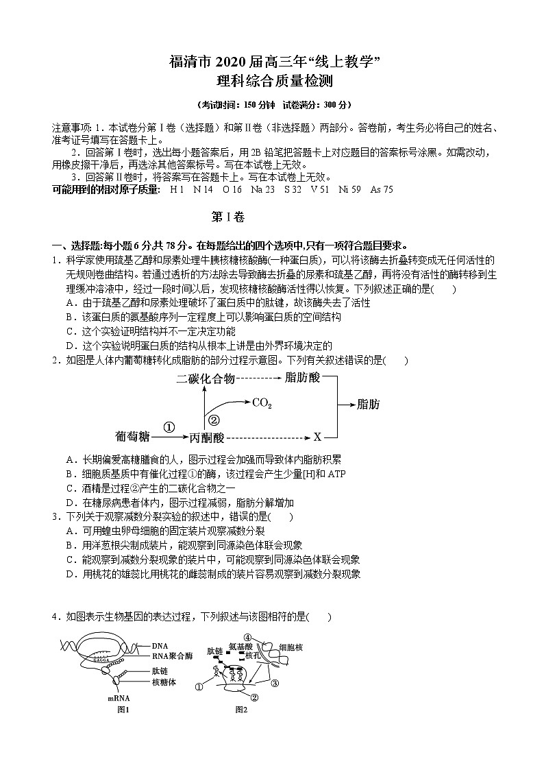 2020届福建省福清市高三下学期3月“线上教学”质量检测  理科综合01