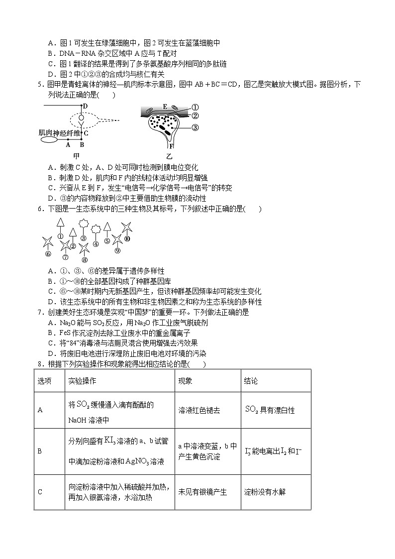 2020届福建省福清市高三下学期3月“线上教学”质量检测  理科综合02