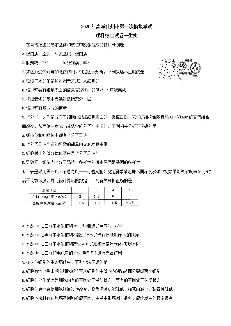 2020届广东省化州市高三上学期第一次模拟考试 理综01