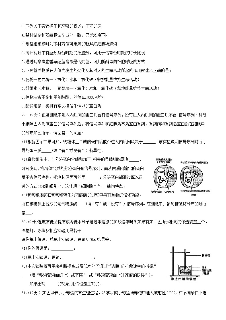 2020届广东省化州市高三上学期第一次模拟考试 理综02