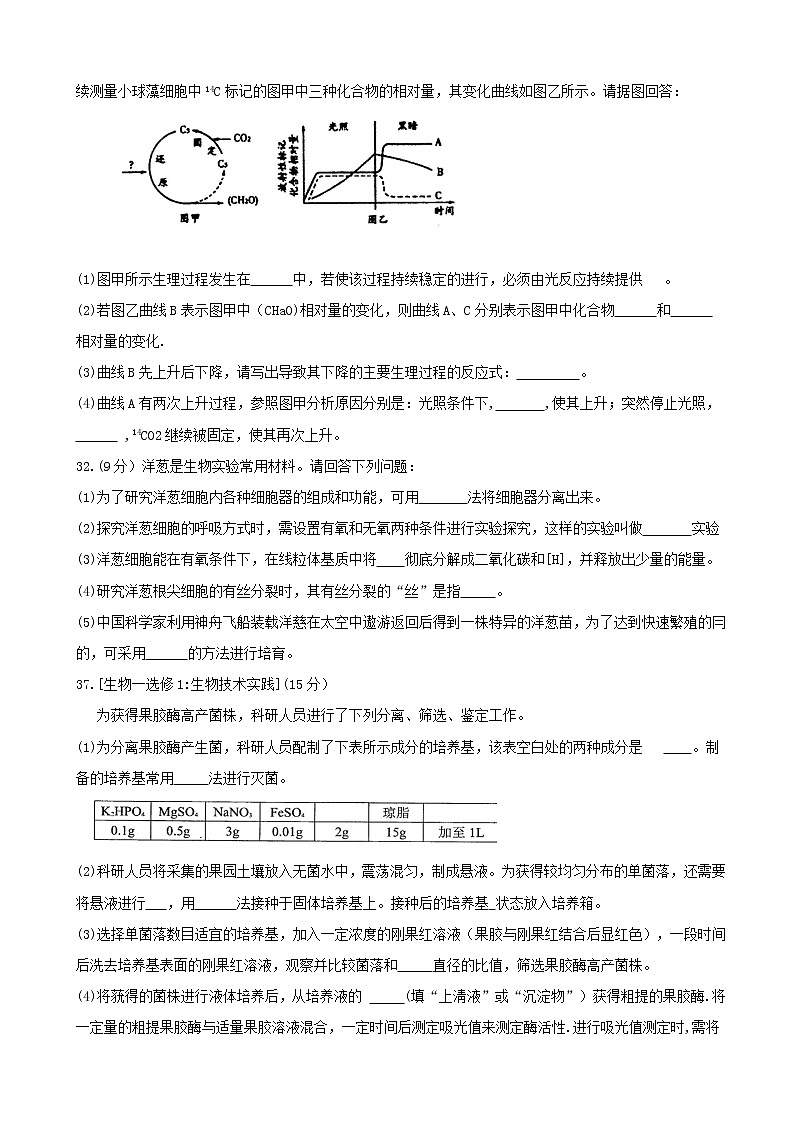 2020届广东省化州市高三上学期第一次模拟考试 理综03