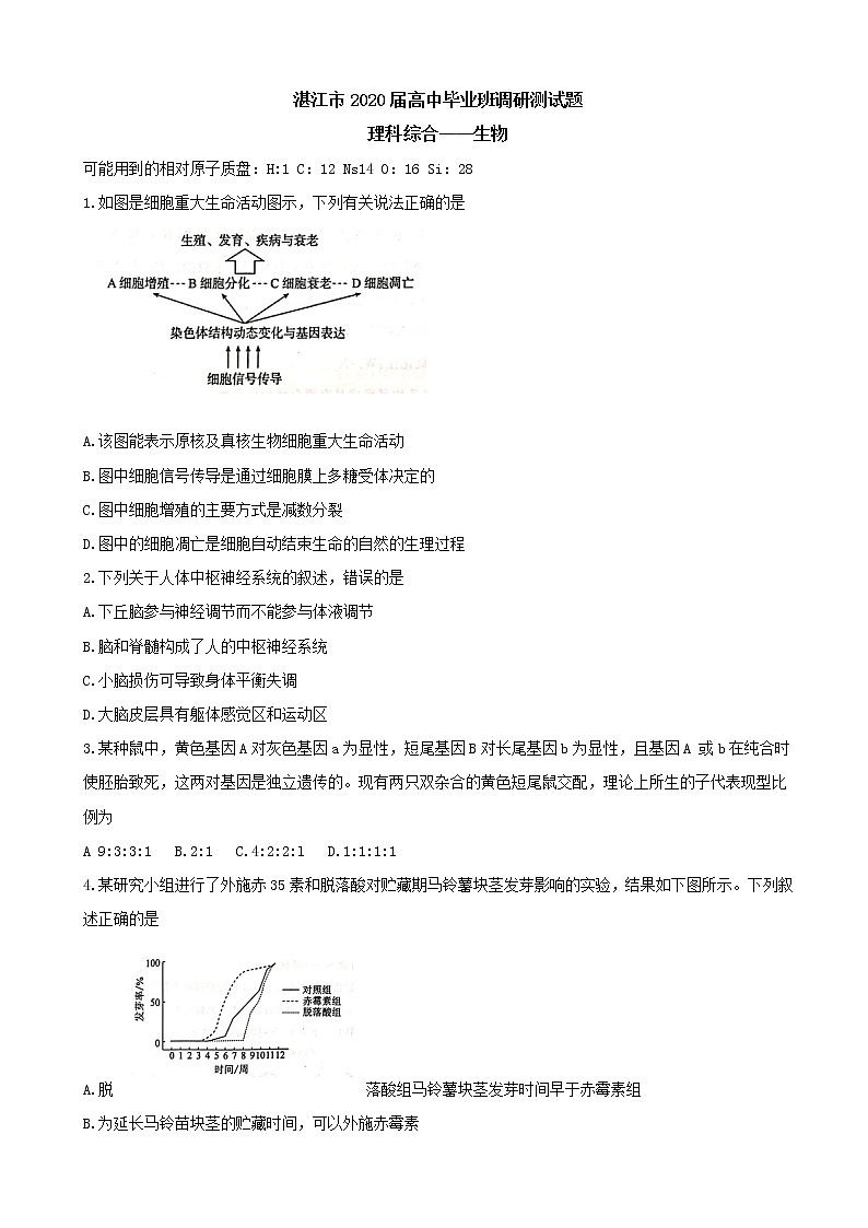 2020届广东省湛江市高三9月调研考试  理综01