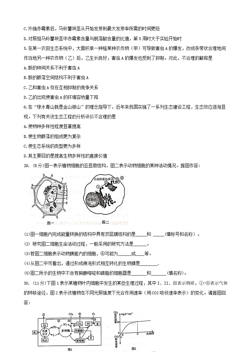 2020届广东省湛江市高三9月调研考试  理综02
