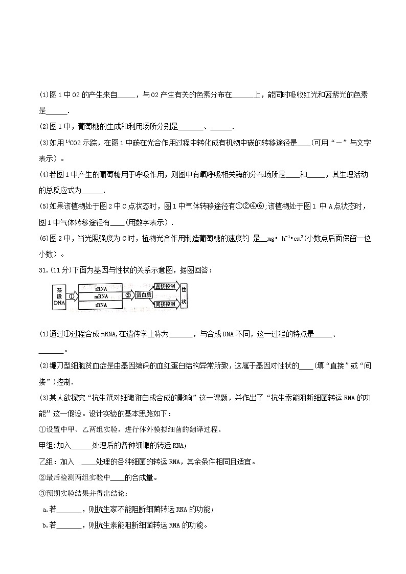 2020届广东省湛江市高三9月调研考试  理综03