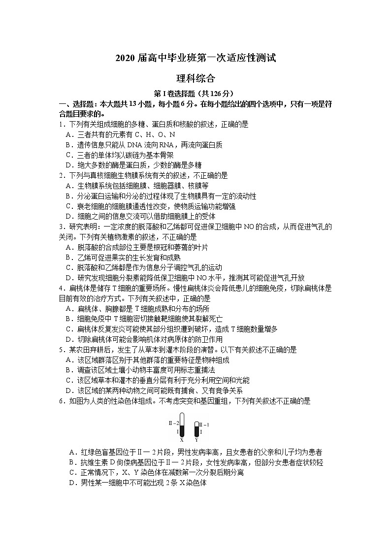 2020届广西南宁市高三毕业班第一次适应性测试理综试题01